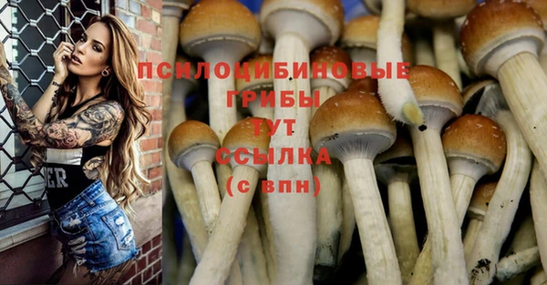 прущий лед Абдулино