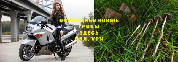 твердый Абинск