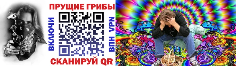 как найти наркотики  Адыгейск  гидра tor  Галлюциногенные грибы прущие грибы 